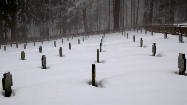 Soldiers Graves Covered Thick Layers Winter Snow Wide Shot Panning — ストック動画