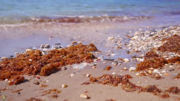 Gelombang Laut Mencuci Batu Batu Pantai Dalam Gerakan Ultra Lambat — Stok Video