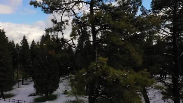 Aerial Upwards Snowy Woodland Scenery Revealing Natural Landscape Kolitza Mount — 图库视频影像