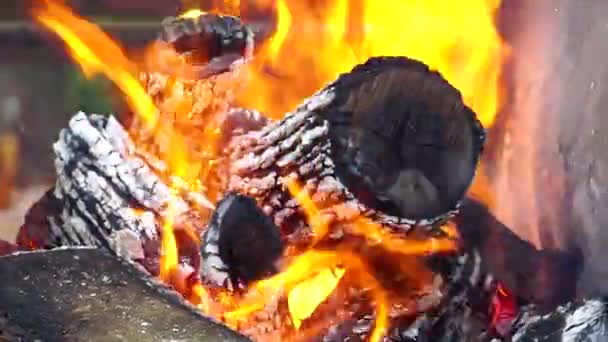 薪が燃える Bbqの火災 — ストック動画