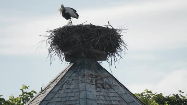 Una Cicogna Nel Nido Cima Alla Torre Con Tetto Tegole — Video Stock