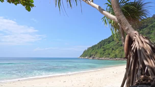 White Sand Tropical Beach Ocean Waves Tree Hot Sunny Day — Wideo stockowe