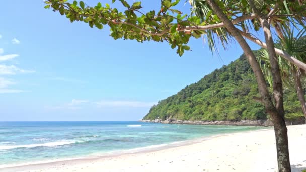 Empty Tropical White Sand Beach Green Vegetation Caribbean Sea Waves — Stockvideo