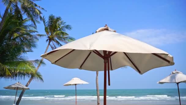 Tops White Beach Umbrellas Swaying Blue Sky Sea Tropical Island — 비디오