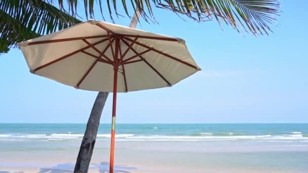 Umbrella Palm Tree Beach Sea Perfect Day — Stock Video