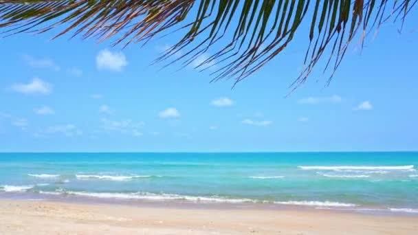 Tropical Palms Beach Branches Swaying Foreground Cloudy Sky Beautiful Turquoise — Stock videók