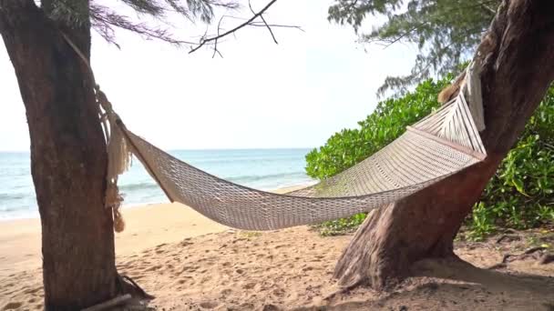 Empty White Rope Hammock Hanging Trees Seafront — Vídeo de Stock