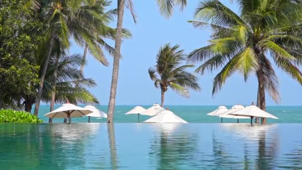 Luxury Tropical Resort Beachfront Infinity Pool Parasols Front Ocean Horizon — Wideo stockowe