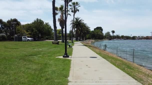 Morning Walk Clear Blue Lagoon Palm Trees Refreshing Air San — Stockvideo