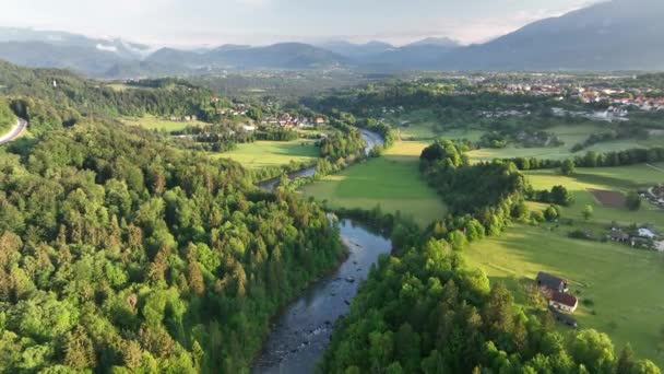 Emerald River Summer Morning — Video Stock