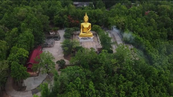 Vue Aérienne Arrière Grande Statue Bouddha Doré Dans Parc Historique — Video