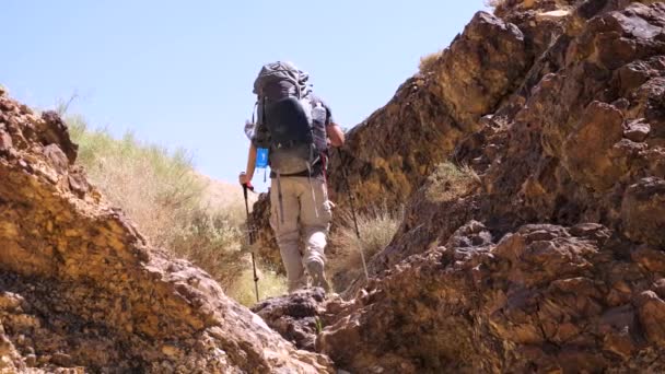 Static Shot Alone Hiker Hiking Pack Going Crater Ramon Negev — Vídeo de Stock