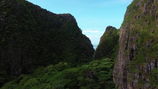 Drone Flying Jungle Tree Canopy Reveal Sea Horizon Beautiful Phi — Vídeo de Stock