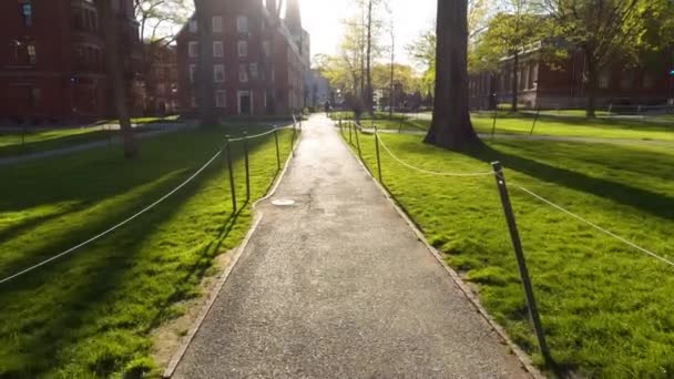 Walking Harvard Yard Bright Sunny Light Distance Pov — Vídeo de stock