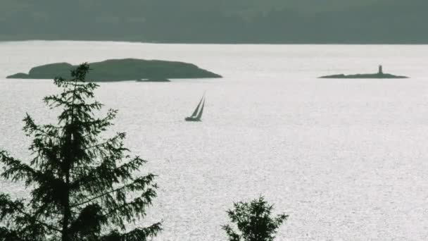 Sailing Boat Ilhas Sound Mull Scotlands Costa Oeste — Vídeo de Stock