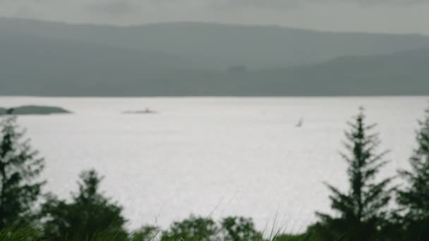 Focus Pull Sailing Boat Glistening Sound Mull Island Mull — Stock video