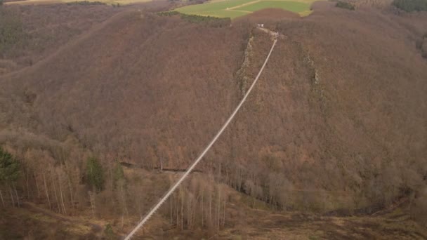 Aerial Orbiting View Long Suspension Bridge Hanging Leafless Deciduous Forest — Vídeo de stock