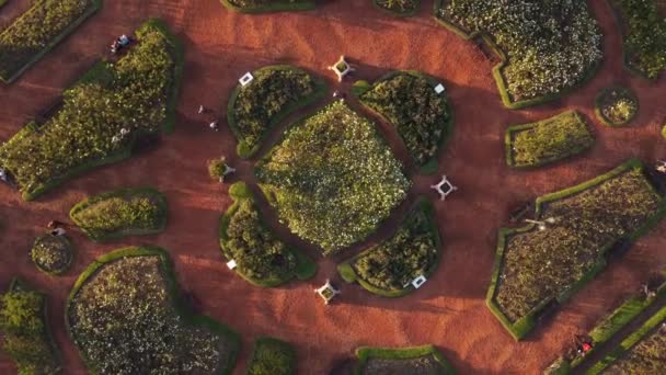 Rotating Top Aerial View Rosedal Palermo Park — Stok video
