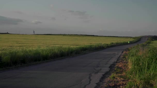 Man Black Jogging Countryside Road Wheat Fields View — 图库视频影像