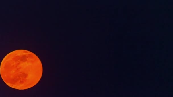 Zbliżenie Czerwonego Księżyca Pełni Wznoszącego Się Czasie Ciemnym Nocnym Niebie — Wideo stockowe