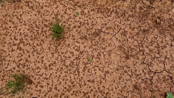 Верхний Снимок Дождя Сухом Дневное Время Концепция Засухи Почв Отсутствие — стоковое видео