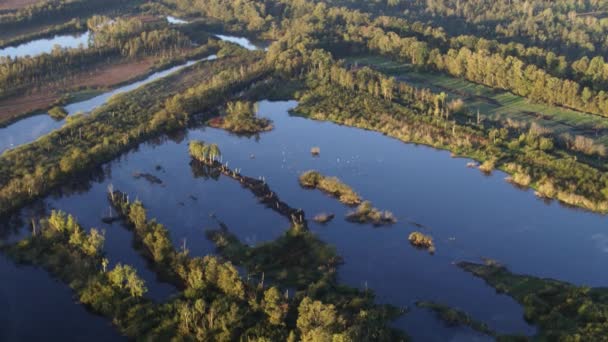 Aerial Drone Shot Flying River Delta Flooded Farmlands Netherlands — Stock video