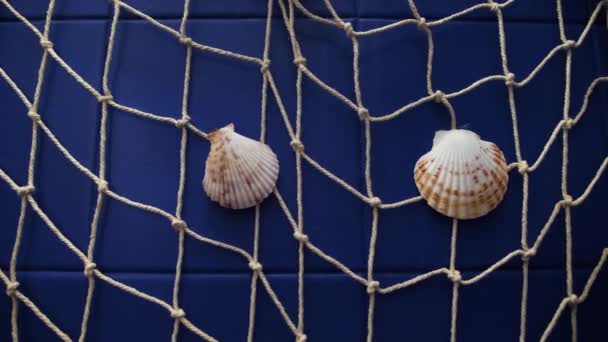 Seashells Stacked Fishing Net Ornament Bathroom Pan Right — Video