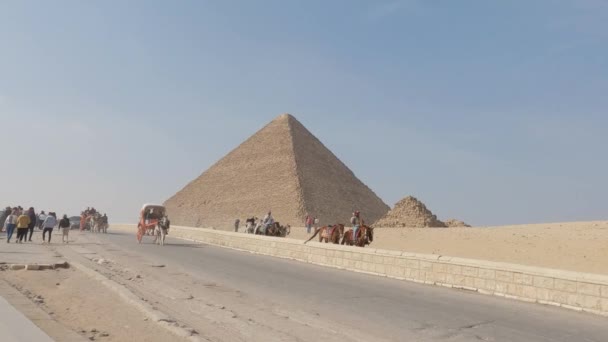 Establishing Shot Giza Pyramids Landscape Traffic Road Touristic Horse Carriage — Stock video