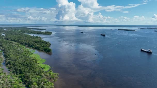 Amazon River Amazon Rainforest Найбільший Світі Тропічний Ліс Манаус Бразилія — стокове відео