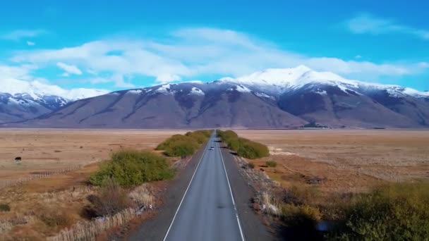 Patagonia Argentina Famous Road Town Calafate Patagonia Argentina Patagonia Road — Stock Video