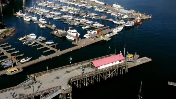 Horseshoe Bay Public Dock Fuel Dock Boats Moored Marina Horseshoe — Wideo stockowe
