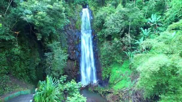 Flying Backwards Forest Sao Nicolau Waterfall Sao Tome Africa — Stockvideo