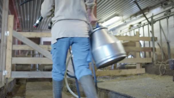 Handheld Milkmaid Arrives Rustic Parlour Ready Milk Family Cow — Stock Video