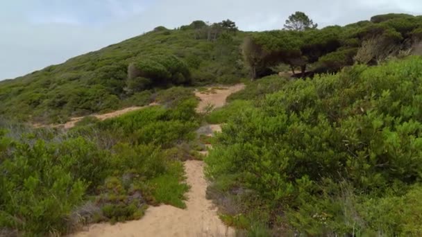 大西洋近くのグラタ アドラガの丘で育つ緑 — ストック動画