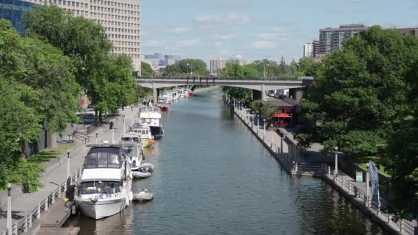 Shot Rideau Canal Next Senate Canada Building Sunny Summer Day — Stok Video