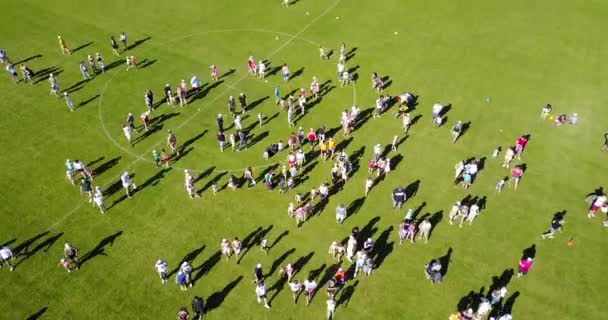 Personnes Pendant Rassemblement Association Marcher Dans Terrain Soccer Lors Leur — Video