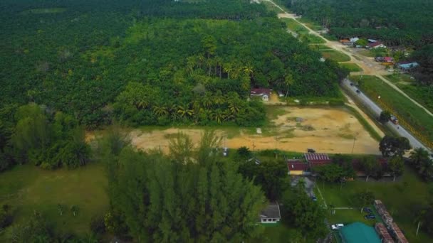 Cinematic Drone Footage Palm Oil Mill Effluent Residential Consists Buildings — Video