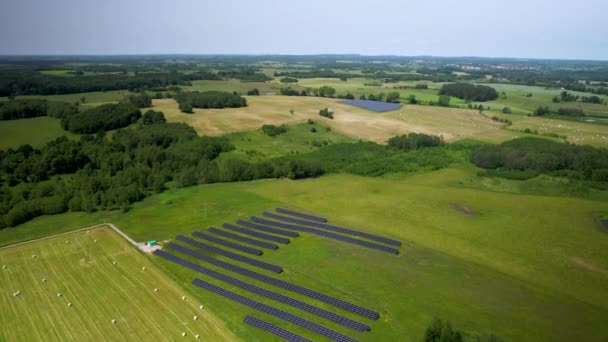 Rows Solar Panel Producing Clean Energy Sunlight Aerial — Stock Video