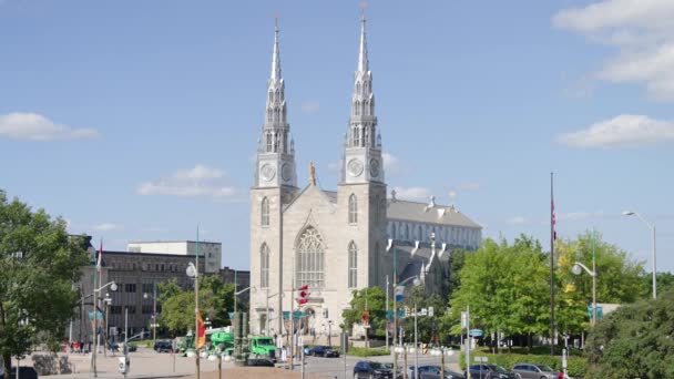 Basílica Catedral Notre Dame Vista Desde Major Hill Park Ottawa — Vídeos de Stock