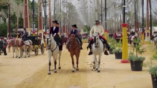 Spanish Men Sit Horses Real Escuela Andaluza Del Arte Ecuvideo — стоковое видео