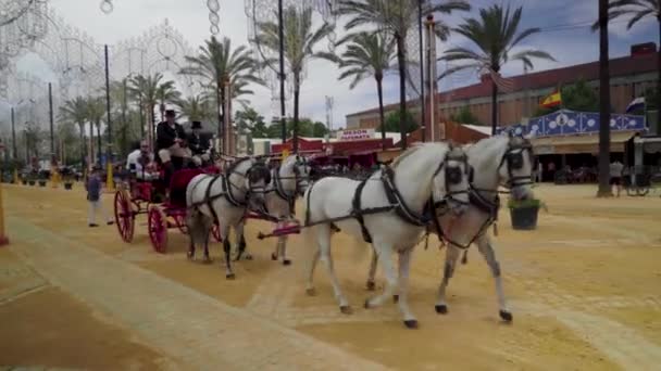 Spanish Men Sit Horses Real Escuela Andaluza Del Arte Ecuvideo — Wideo stockowe