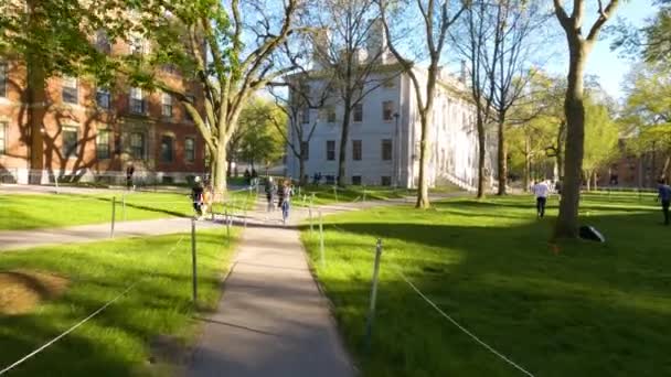 Student Walking Harvard Yard Looking Other People Walking Playing Games — Stockvideo