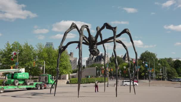 Sculpture Maman Front National Gallery Canada Parliament Canada Background Ottawa — Video Stock