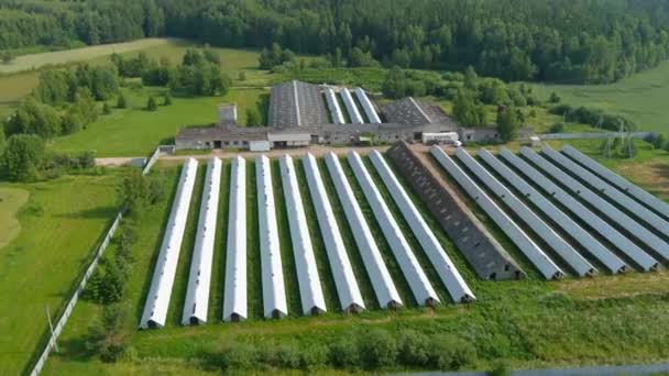 Vegetable Plantation Valley Dense Trees Lithuania Agricultural Industry Aerial Plantations — Stockvideo