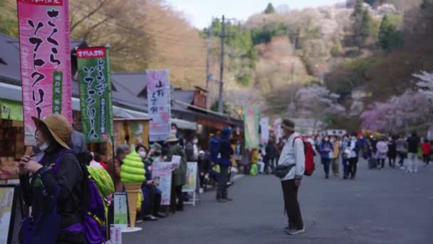 Sakura Blooming Yoshino Mountain Japanese Tourists Enjoying Spring — Stock videók