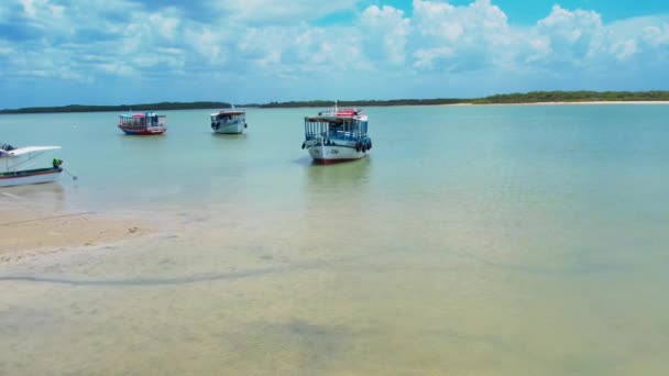 Traditional Boats Tourists Docked Turquoise Ocean Tropical Beach Natal Brazil — Vídeo de stock