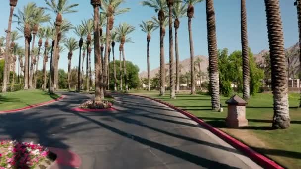 Amazing View Downtown Palm Springs California Mesmerizing Scenic Beauty — Stockvideo