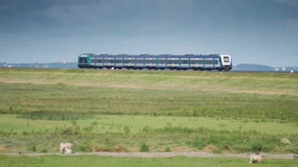 Modrý Vlak Projíždí Zelenými Farmářskými Poli Cestou Ostrova Sylt Německu — Stock video