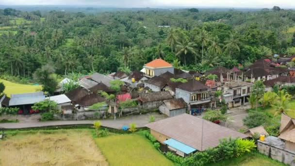 Local Hindu Village Homes Jungle Ubud Bali Cloudy Day Aerial — 图库视频影像