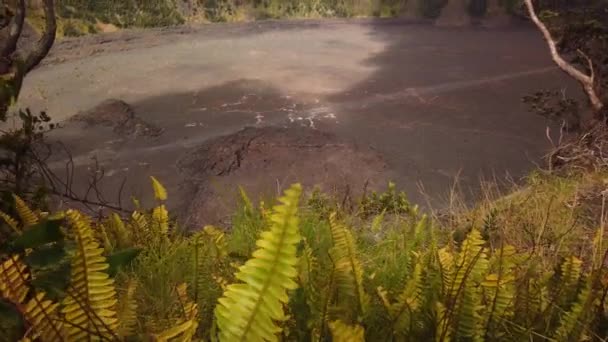 Handheld Booming Shot Dried Lava Crater Big Island Hawaii Fps — Vídeo de stock